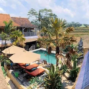 Royal Jj & Spa 3* Ubud