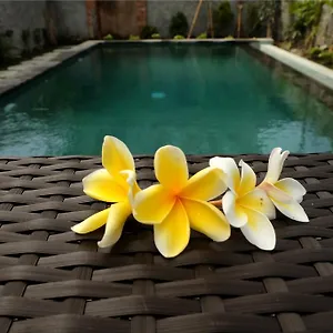 Eka Bali 3* Ubud